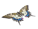 Wings Costume for Women Girl Decorative Dress Up Wings Prop with Headband for Cosplay Holiday Party V1294-YM0901-3115250067511