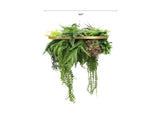 Gold Framed Roof Hanging Disc With Tropical Foliage and Draping Ferns 60cm UV Resistant V637-DP80104