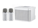 Portable Karaoke Machine with 2 Wireless Microphones Portable Bluetooth Speaker for Family Party V1263-JX-6965-2