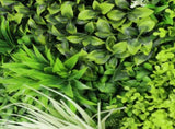 Forest Floor Artificial Vertical Garden / Green Wall Panel 1m x 1m UV Resistant V637-DP554893