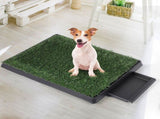 PaWz Indoor Dog Pet Grass Potty Training PT1070-M_NZ