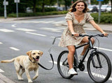 Bike Dog Leash with Shock-Absorbing Spring Bracket Hands-Free Cycling Dog Walker for Outdoor V1341-ZY-FE96E793-SILVER