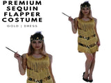 Charleston Sequin Flapper Fringe Costume Tassel Party Fancy Dress 20s 30s - Gold V563-12095-GOLD