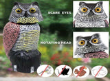 Owl Decoys to Scare Birds Away with Rotating Head,Natural Enemy Bird Deterrent Realistic Eyes & V1258-DP02-C-332