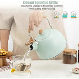 Stainless Steel Whistling Kettle 2.5L for Gas Stoves, Induction Compatible, Ergonomic Handle V1188-NANV-8-9932