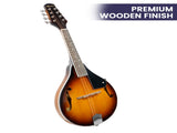 Karrera Traditional Mandolin Guitar - Sunburst MDL-TDT