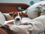 Premium Dog Booster Seat for Small Pets V568-20CC026B