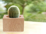 Rustic Wooden Flower Pot for Balcony Garden and Indoor Small Plant Display V1370-AZ4-16192
