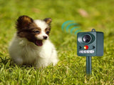 Ultrasonic Animal Repeller. Solar Animal Repellent. with Flashing LED Light and Alarm to expel Cats, V1192-AZ-W-11137