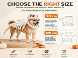 Dinosaur Skeleton Glow in Dark Dog and Cat Costume,Pet Dinosaur Costume,Plush Halloween Pet Hood V1107-136-69214-BLK2