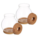 Transparent Glass Terrarium Planter for Home Decor, Minimalist Design, Indoor Plant Holder V1369-AZ3-W-12982