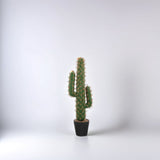 Realistic Artificial Cactus Plant for Office Desk, Balcony Decor, Low Maintenance Indoor V1192-AZ-W-22354