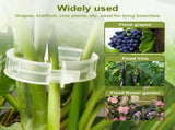 Secured Plastic Plant Clip - 100 Pcs, Garden Support Clips for Climbing Vines - Reusable, White V1258-DP02-C-2489