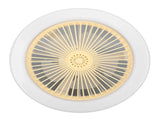 30W Light Fan 9.8in Small Aromatherapy Noiseless Ceiling Fan Light E27 LED Fan Light 86265V V1294-YM0703-3119230093111