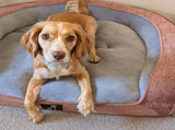 Plush Orthopedic Pet Sofa Bed with Bolstered Edges Ultra-Soft Sponge Filled Luxury Dog and Cat V1341-ZY-VP4G6H9L-PINK
