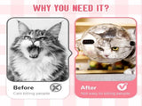 Cat Grooming Mask with Anti-Bite, 2025 New Cat Muzzle for Grooming Mouth Cover Breathable Hood, V1258-DP02-F-840