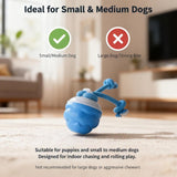 Chase Buddy Dog Toy, Interactive Motion Activated Rolling Dog Ball, Automatic Moving Dogs Toy for V1366-AZ2-W-10717