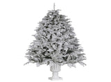Christabelle 2.3m Christmas Tree Potted Alpine Fir with Pre Lit Multi-Colour LED Lights 112_HZPA75