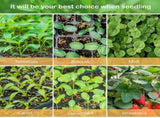 12 Holes Indoor Greenhouse Cultivation Box Seeding Plant Nursery Box Set Gardening Germination V1294-YM0901-10062772