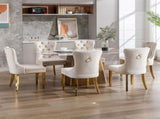 AADEN 2x Velvet Dining Chairs with Golden Metal Legs-Beige V226-SW1501BG