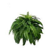 24in Artificial Boston Fake Ferns Large, UV Resistant Artificial Outdoor, Weatherproof Fake V1366-AZ2-W-14213