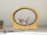 Cat Running Wheel w/ Carpet Runway Cat Exercise Wheel for Fitness Cat Treadmill V63-841891