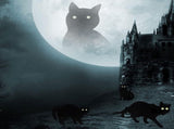 Halloween - 3-piece - Decoration - Decoration - Black Cat - Yard Signs Decorations - Scary V1188-MS101-02164-1