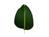 Grand Artificial Potted Travellers Palm 180cm V637-DP75267