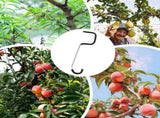 Limb Spreaders for Fruit Trees Sapling Limb Bending Clips, Branch Adjustment Clips for Backyard V1192-AZ-W-22206