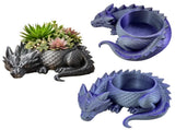 Sleeping Dragon Bowl, Fantasy Home Decor 3D Printed,Sleeping Dragon Flowerpot,Dragon Lover Gifts V1195-VOY000465BL