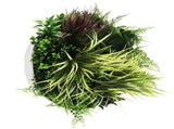 Slimline Artificial Green Wall Disc Art 50cm White Grassy UV Resistant V637-DP9851