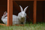 YES4PETS Double Storey Rabbit Hutch Guinea Pig Cage , Ferret cage W Pull Out Tray V278-RH211