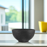 Large Black Plastic Hydroponic Planter Bowl for Home Gardening, Balcony, Indoor and Outdoor V1369-AZ3-W-19451