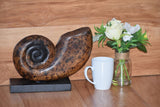 Decorative hand carved wooden shell on stand V277-DHCWS