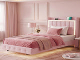 Levede King Single Floating Bed Frame With RGB LED Light Headboard USB Charge BF1062-KS-PK-AU