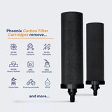 Phoenix Stainless Steel 8L with Smart Carbon Filter V502-P17C2F2SSVTWSD2