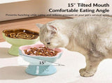 Ceramic Cat Dog Slow Feeder Bowl Caribbean Blue Paw Print Elevated Anti-Choke Pet Bowl 180g 200ml V1221-XM-LB8588-GM274