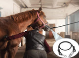 4 Pack Bungee Cross Ties Set Horse Trailer Tie Straps Bulk Cords with Snaps for Accessories, 36 Inch V1259-DP01-A-5532