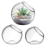 3Pcs Glass Plant Terrarium Containers for Desktop and Garden Use V1370-AZ4-14710