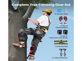 Tree Climbing Spikes Set, Height-Adjustable Tree Climbing Gear with Straps & Spike Protectors, 159 V952-XPSZZZHKQMFH3M41Q002V0
