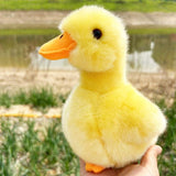 Yellow Chick Stuffed Chicken White 17cm, Plush Toy, Duck Soft Toy Chick Stuffed V1370-AZ4-07031