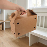 Set of 6 Ventilated Light Brown Cardboard Carrier Boxes with Handles for Small Pets and Birds V1366-AZ2-W-12095