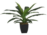 Potted Artificial Faux Janet Craig Dracaena 58cm V637-68503PLN