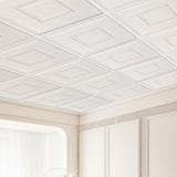 Ceiling Tiles 12-Pack 24 x 24 in PVC Easy Installation White Geometric V952-THBZPVCB12J2BINQSV0
