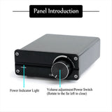 100W D100 TPA3116 Digital Power Amplifier Single Sound Channel Class D Desktop Subwoofer for Home V1370-AZ4-07886
