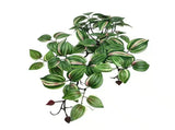 Artificial Hanging / Draping Wandering Jew 42cm V637-DP92782