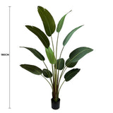 Grand Artificial Potted Travellers Palm 180cm V637-DP75267