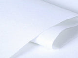 10X1.2M White Carpet Aisle Runner Wedding Party Event Decoration Mats Rugs V201-QHGMMOREONE023