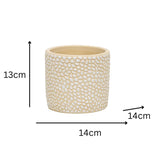 Set 3 Moulded Abstract Planters w Hole Plug 14cm V637-88747PLN