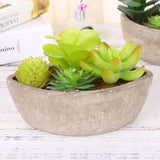 4 pcs Modern Artificialt Arrangement Potted in Gray Concrete Plant Bowl, Assorted Faux Mini V1192-AZ-W-14459